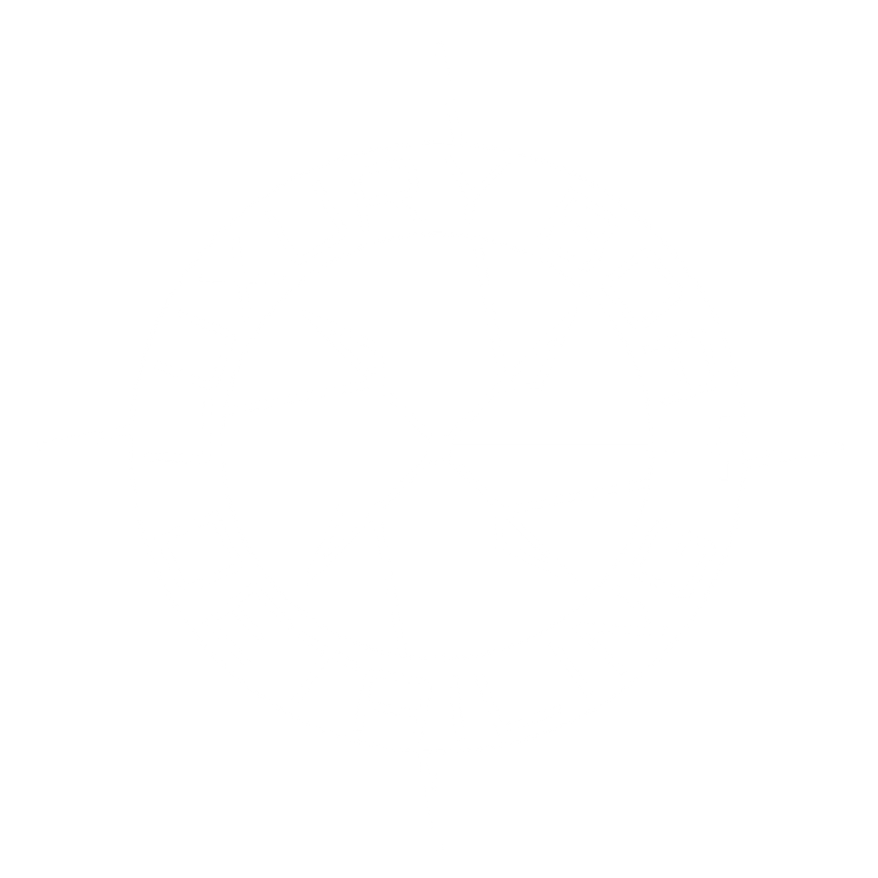 Luxury Boat Detailing